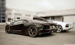 Etiam dictum egestas